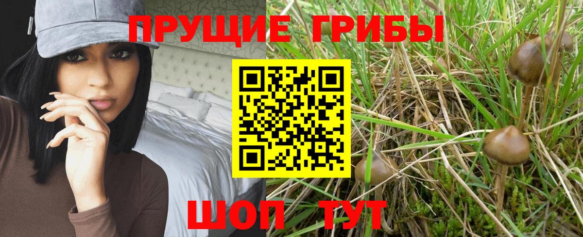Галлюциногенные грибы прущие грибы Клинцы