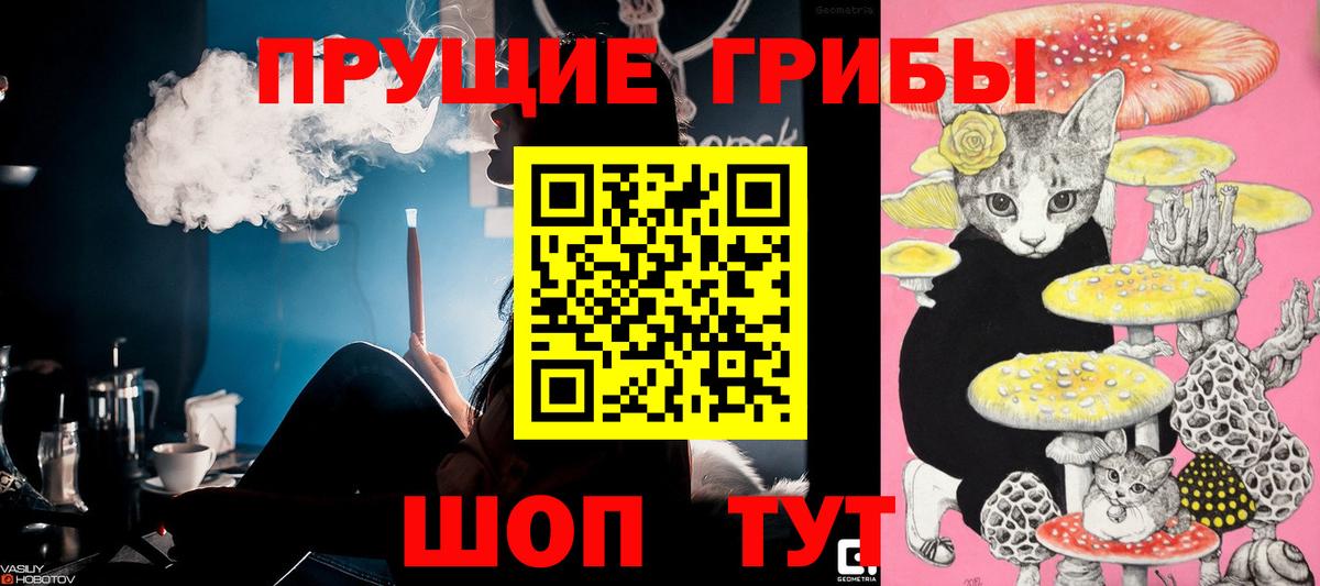 Псилоцибиновые грибы Psilocybine cubensis  Вход с VPN  Клинцы 